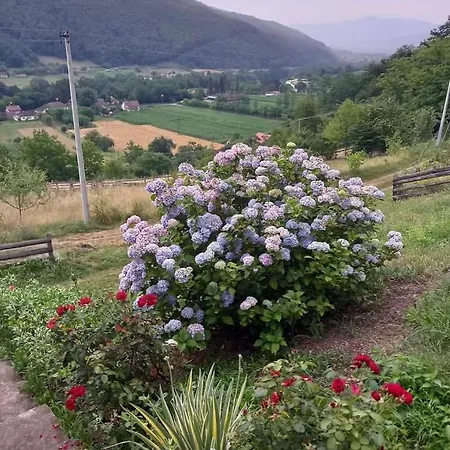 Tatil Evi Simina Kuca Bajina Basta
