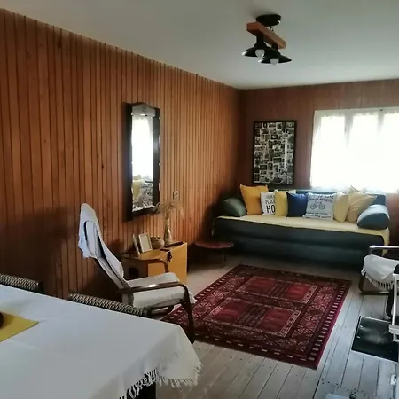 Simina Kuca Tatil Evi Bajina Basta