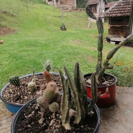 Simina Kuca Bajina Basta