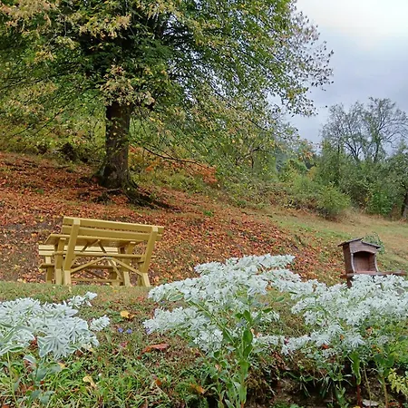 Feriehus Simina Kuca