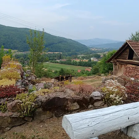 Tatil Evi Simina Kuca *