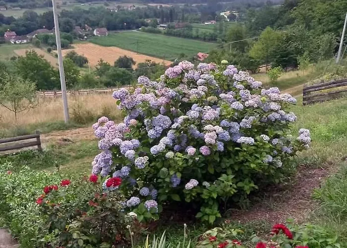 Ferienhaus Simina Kuca Bajina Basta