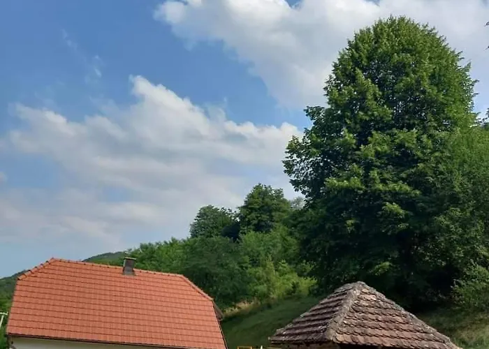 Ferienhaus Simina Kuca Bajina Basta