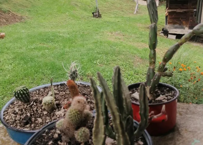 Simina Kuca Bajina Basta