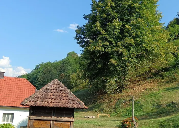 Ferienhaus Simina Kuca