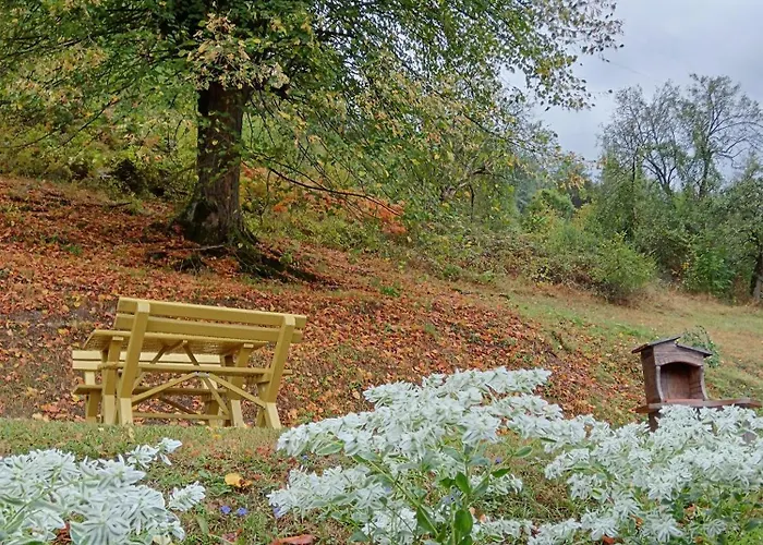 Ferienhaus Simina Kuca